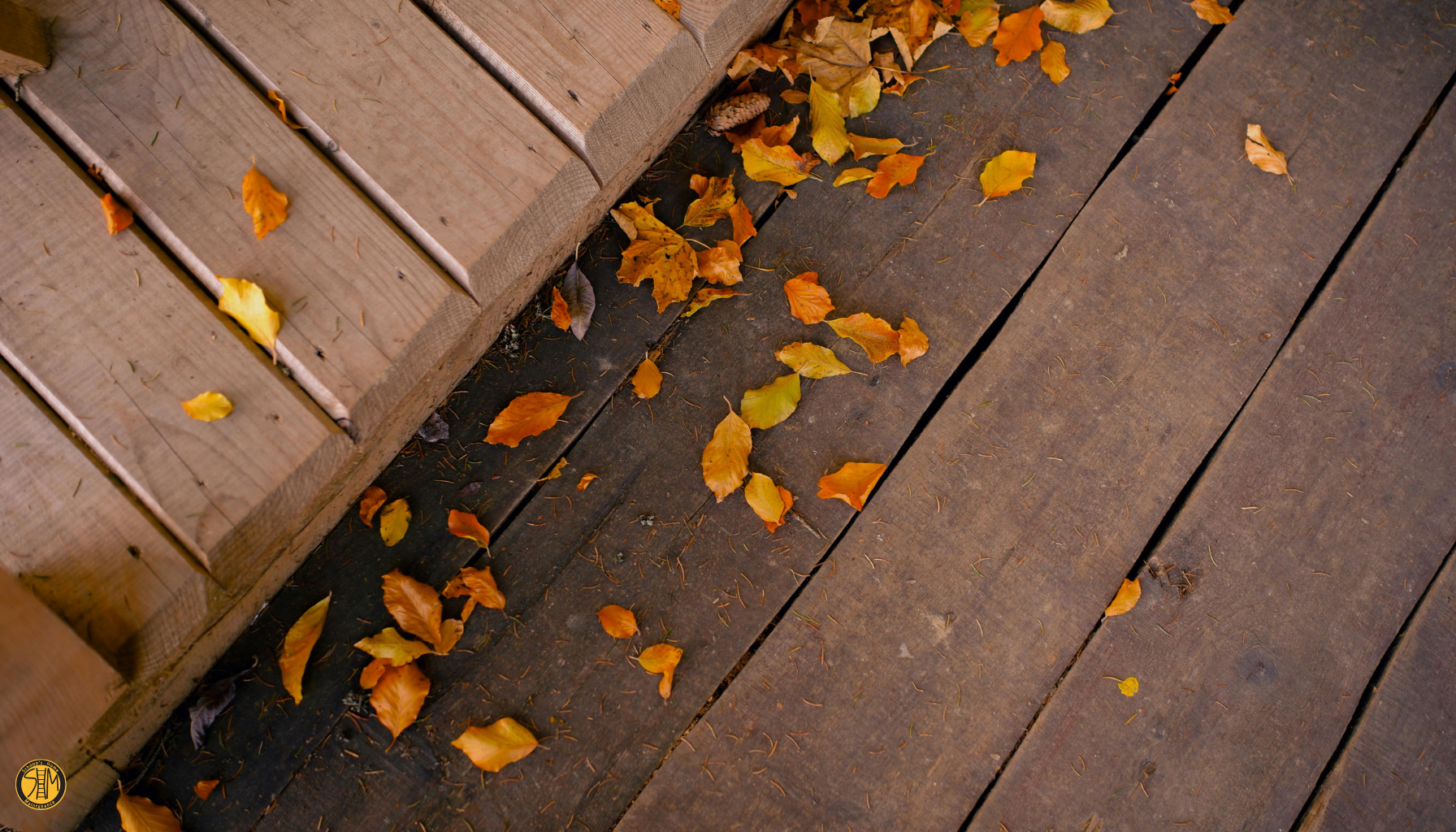 Deck Cleaning and Repair in Portland: Why a Professional Process Matters